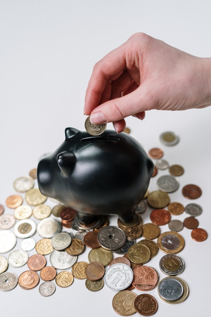 Person Putting Coin in a Piggy Bank